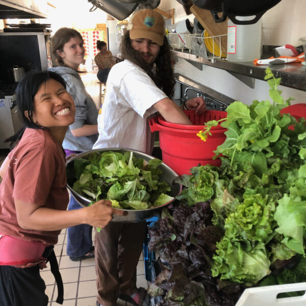 Cleaning vegetables for the Paonia farmers market