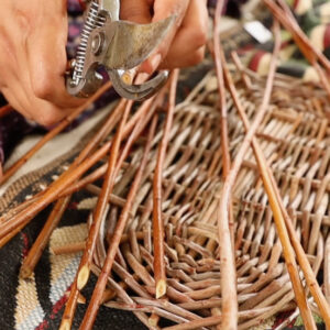 clipping willow while weaving baskets