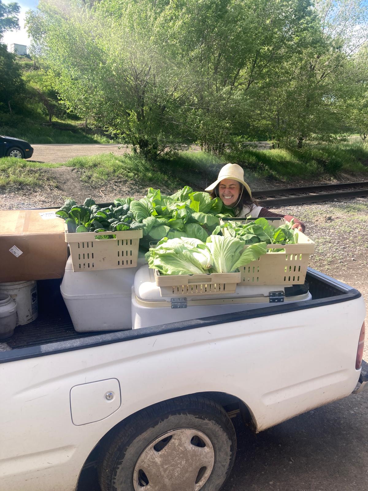 Sophie Browner with vegetables on Groundwork's farm