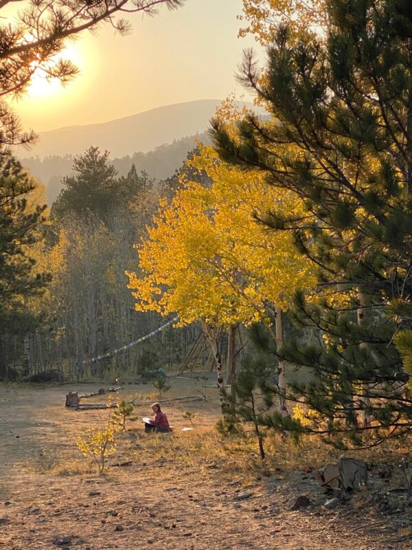 wonder land outside Boulder, CO in fall