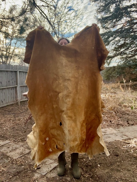 tanned elk hide