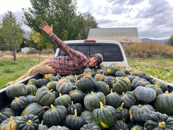 fall squash harvest from Groundwork's organic farmer training program