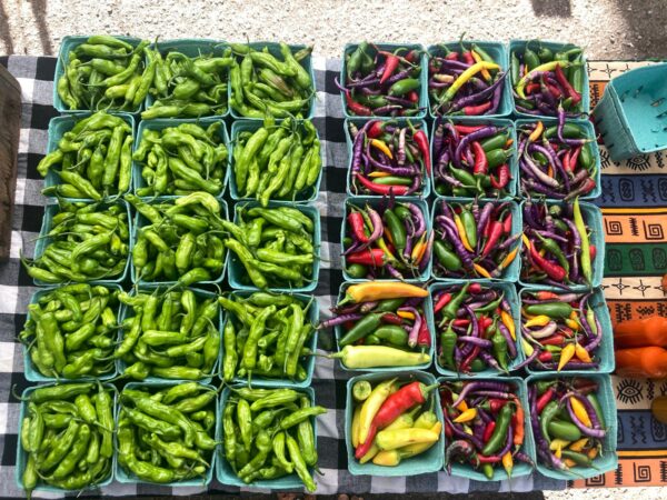 spicy chilis at the Paonia farmers market